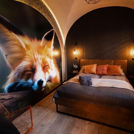 Lisia Nora Appartement Kłodzko Buitenkant foto